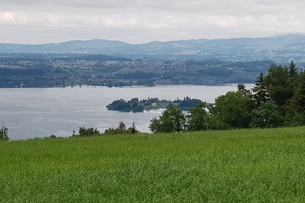 Aussicht Zürichsee