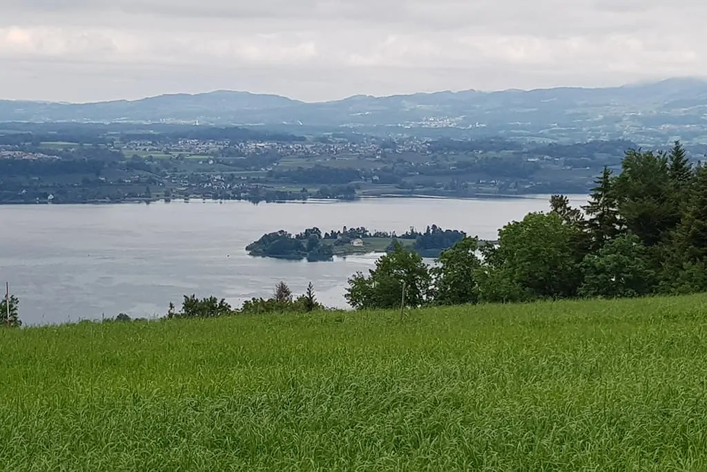 Aussicht Zürichsee